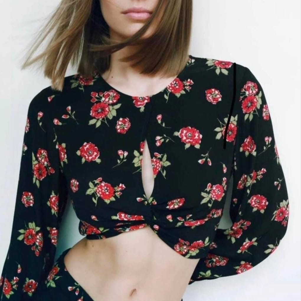 ZARA Printed Crop Top