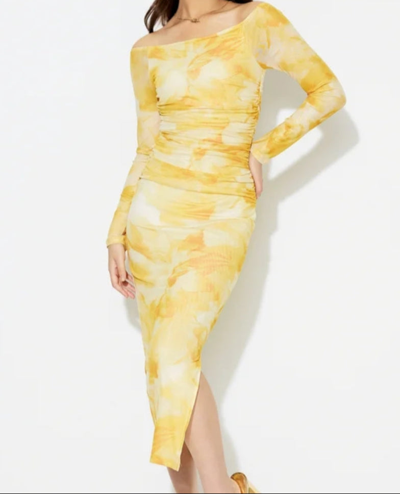 Printed Mesh Bodycon Dress