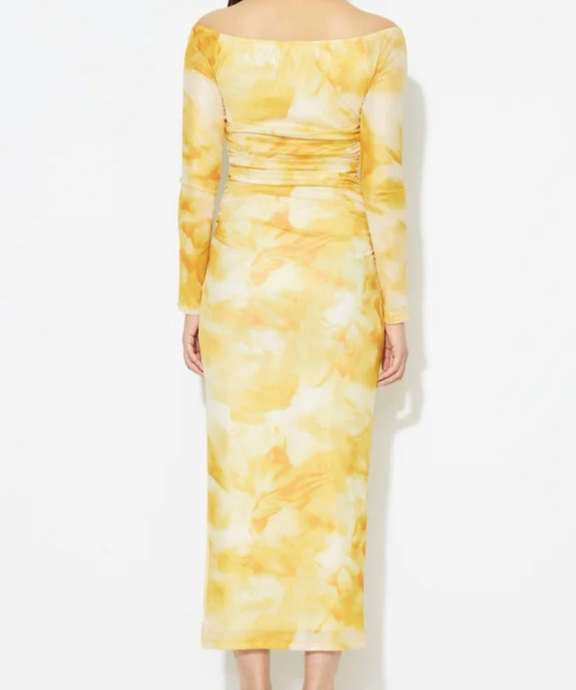 Printed Mesh Bodycon Dress