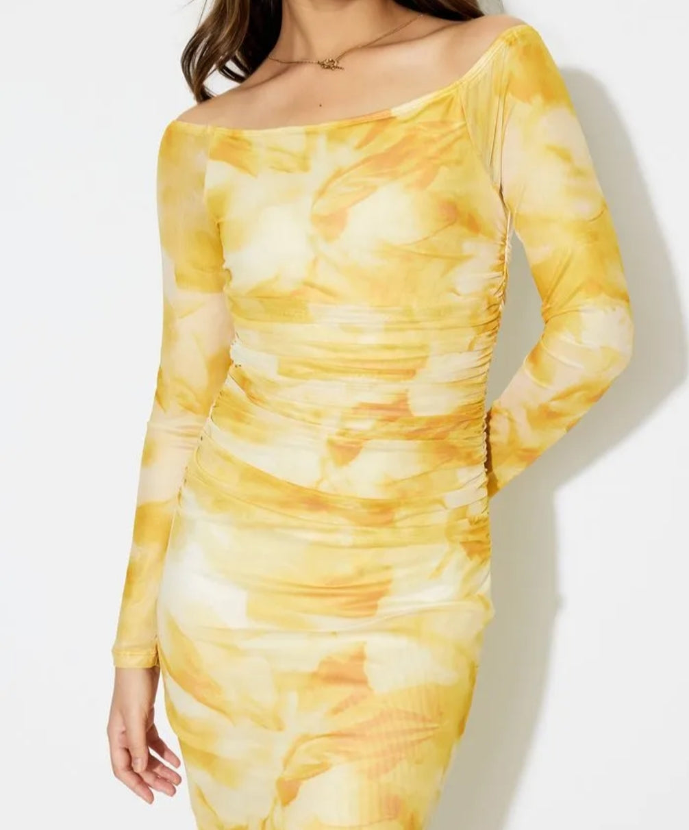 Printed Mesh Bodycon Dress